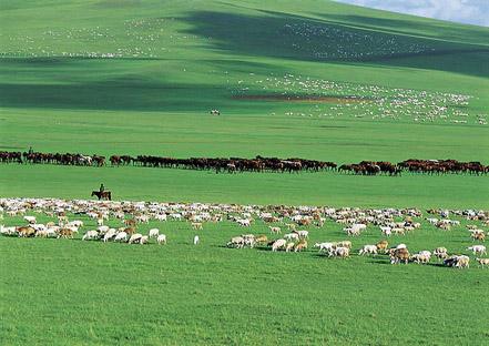 草原氣象環(huán)境監(jiān)測系統(tǒng) 草原氣象環(huán)境監(jiān)測系統(tǒng)